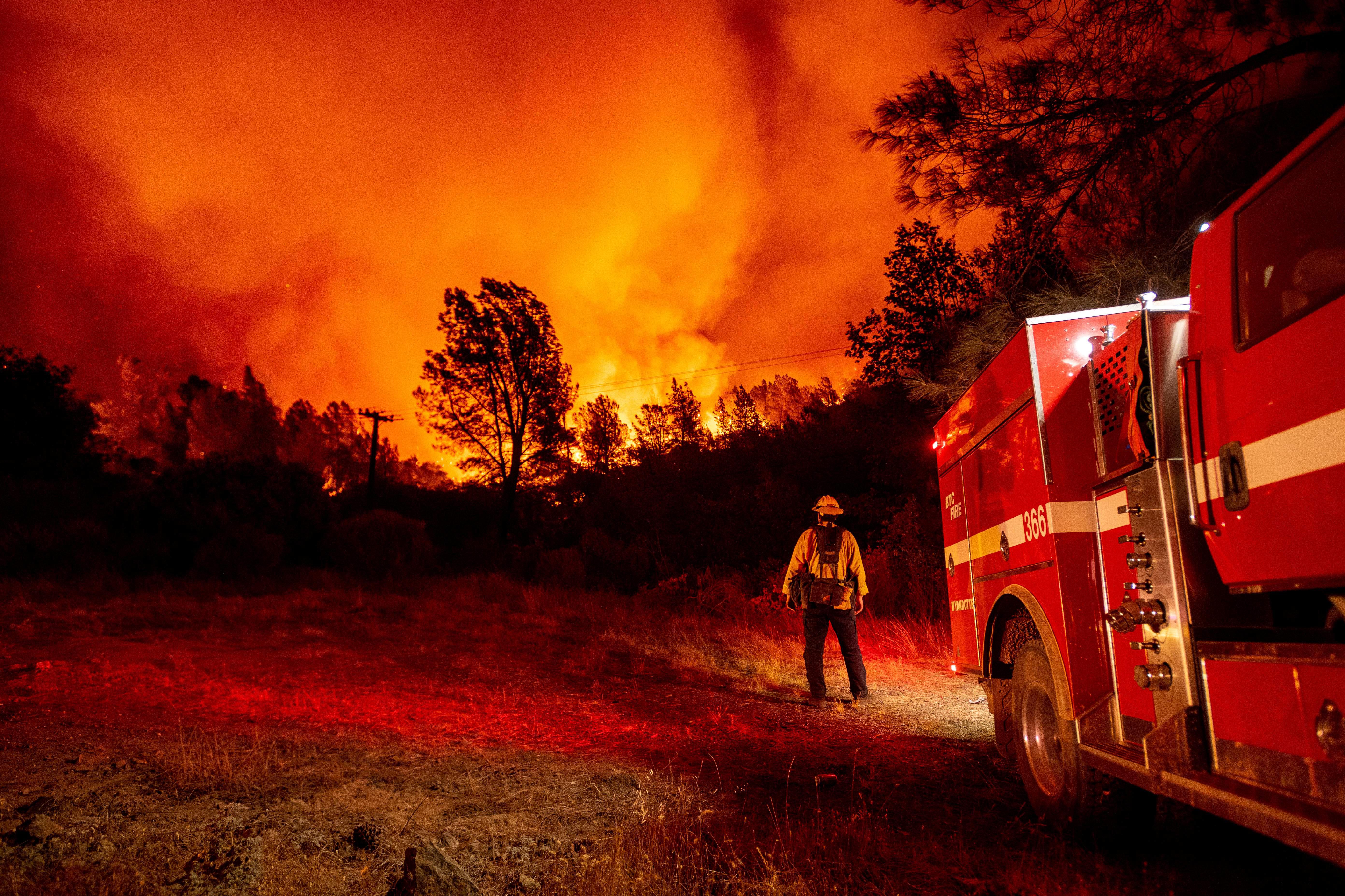 Firefighters by a firetruck watch not-too-distant flames burn trees.