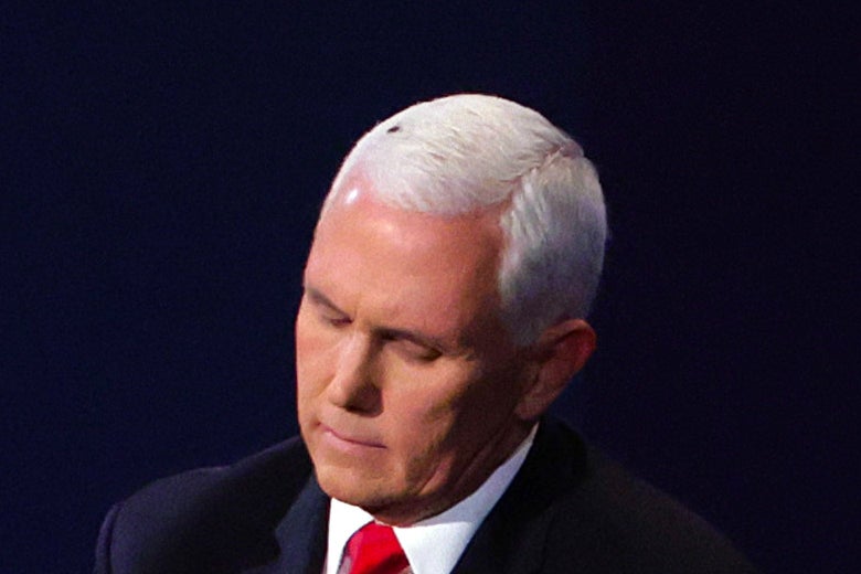 Mike Pence with a fly in his hair.