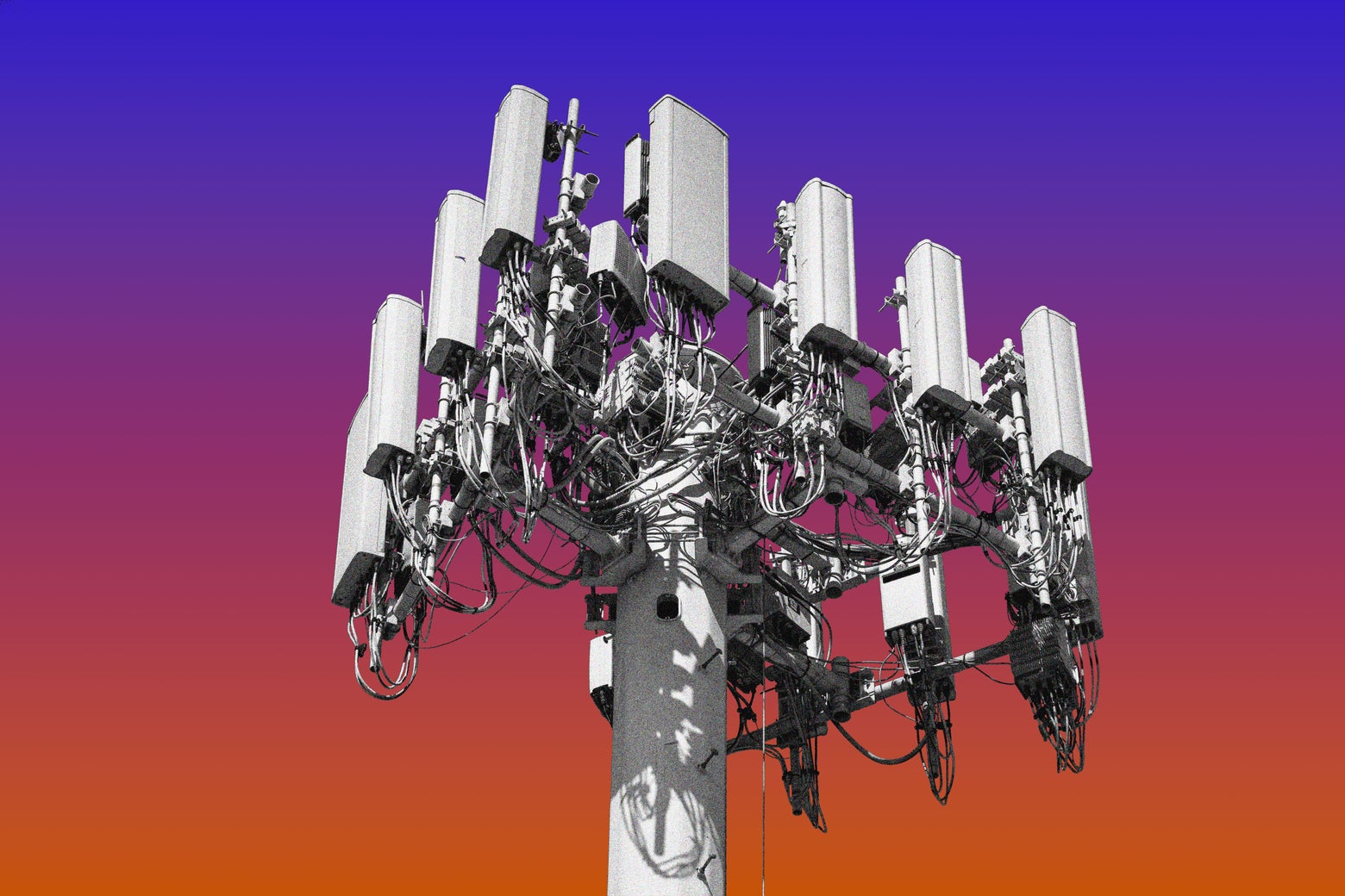 If They Can Get Sydney Sweeney They Can Get You