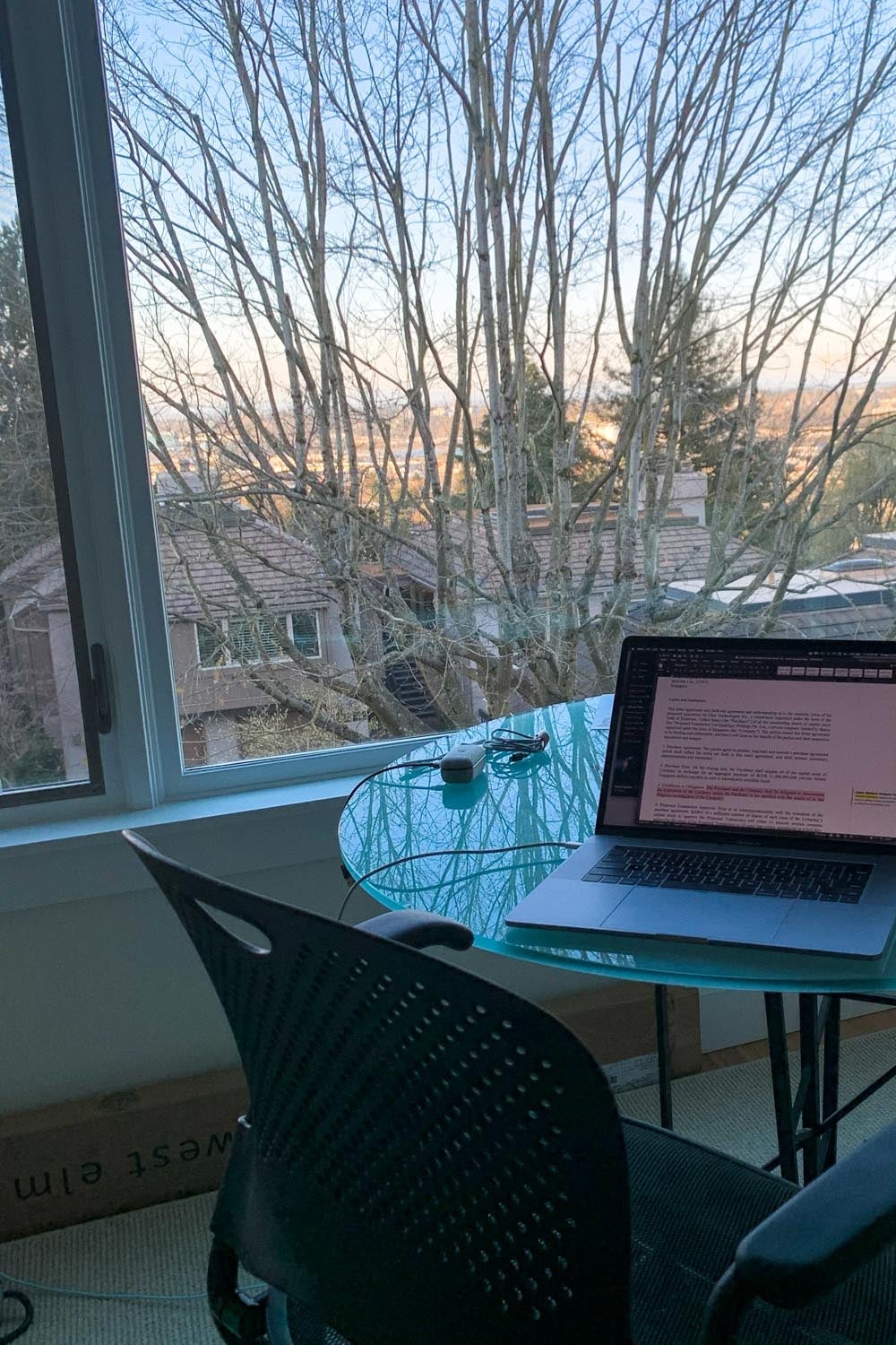 View from glass desk with laptop of a tree.
