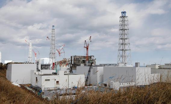 What does the Rebuild Japan report tell us about the Fukushima disaster?