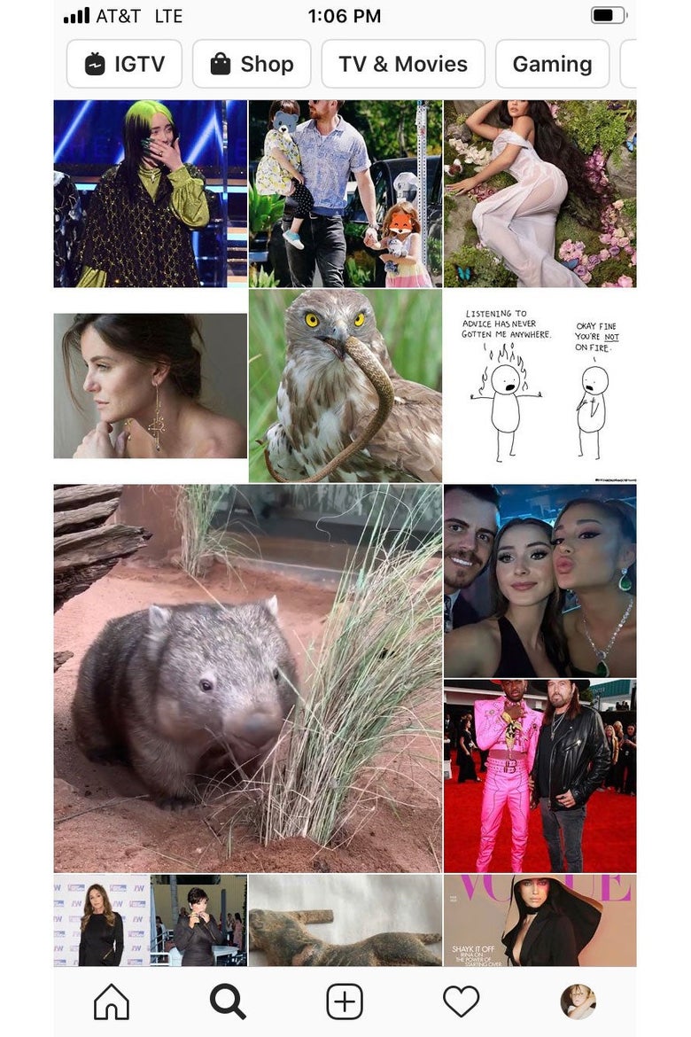 Screenshot of an Instagram Explore feed, featuring photos of celebrities and animals.