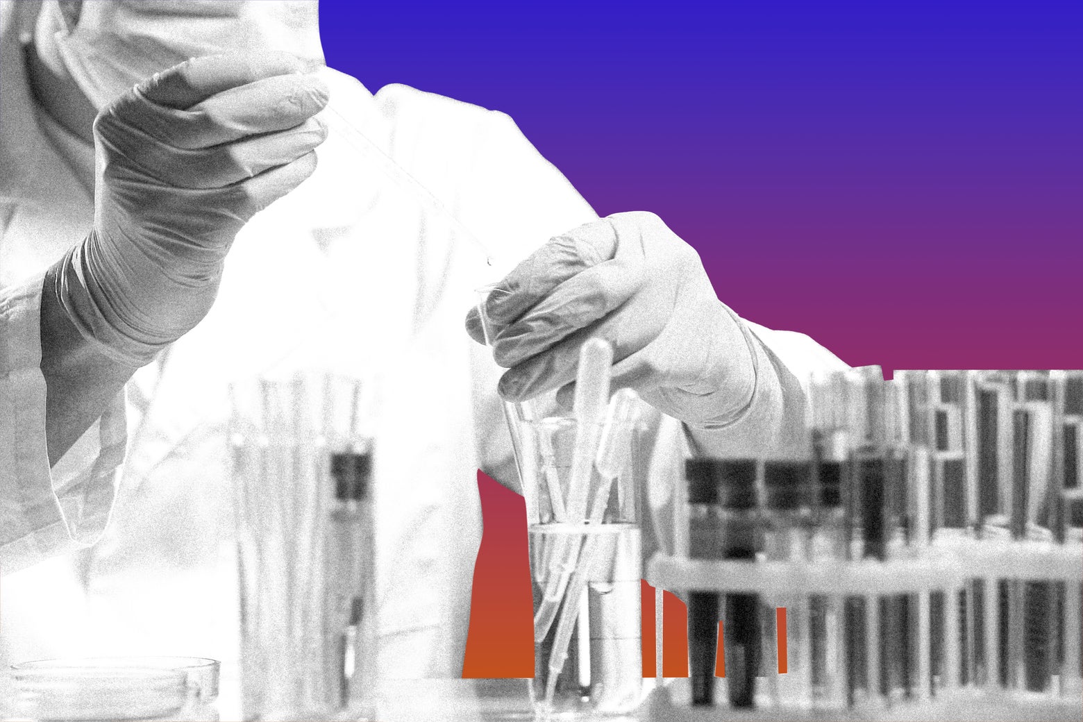 Trump Vs. Cancer Research