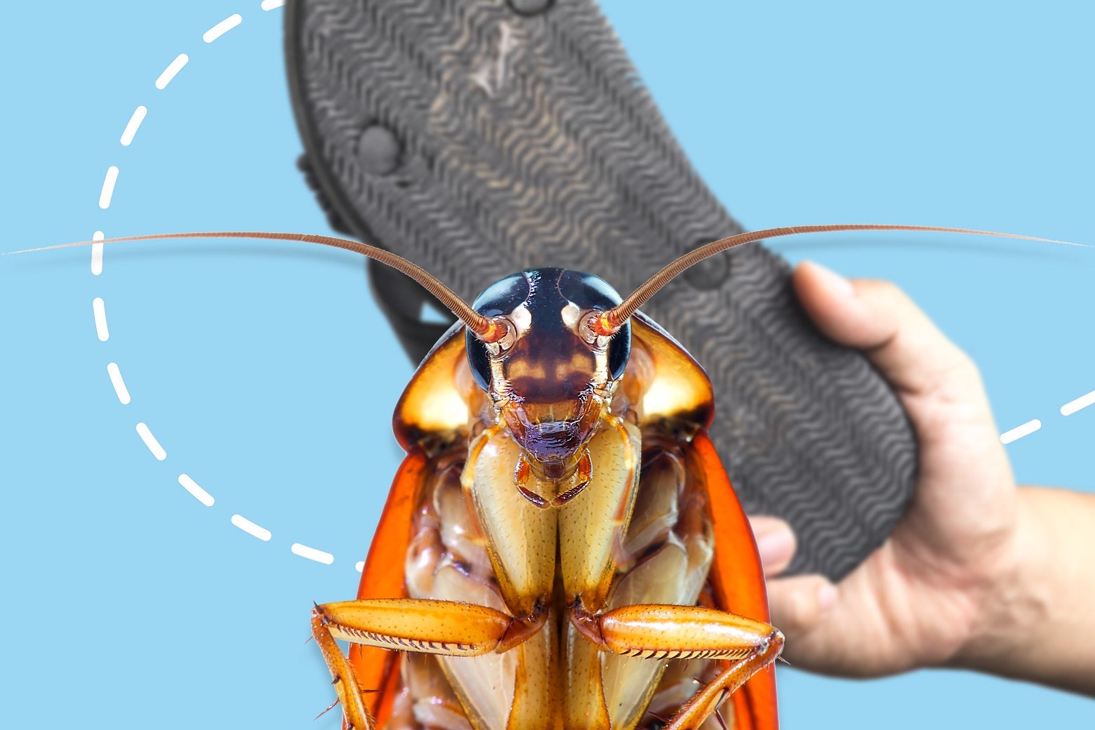 The ‘Jedi Mind Trick’ That Will Help You Defeat Your Irrational Fears The ‘Jedi Mind Trick’ That Will Help You Defeat Your Irrational Fears