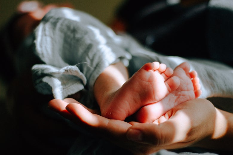 a baby's feet resting in an adult hand
