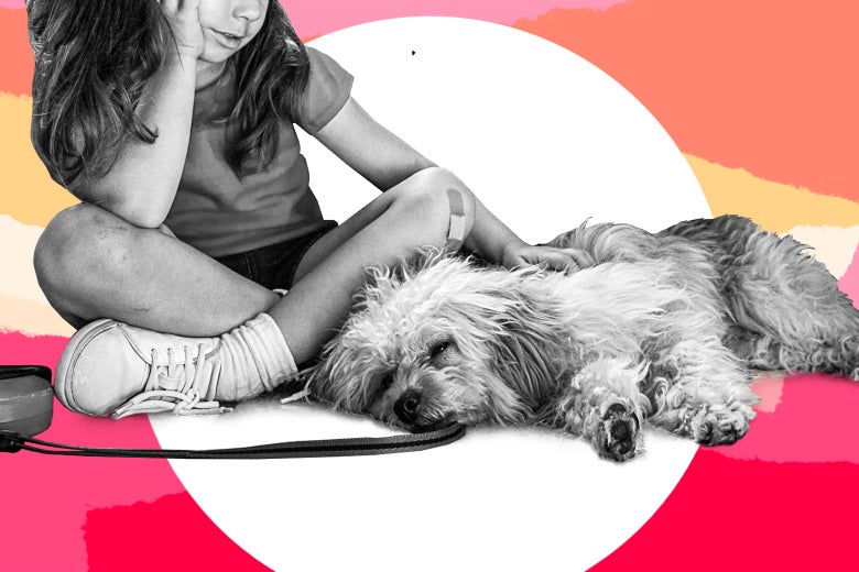 How to handle a pet’s death: parenting advice from Care and Feeding.