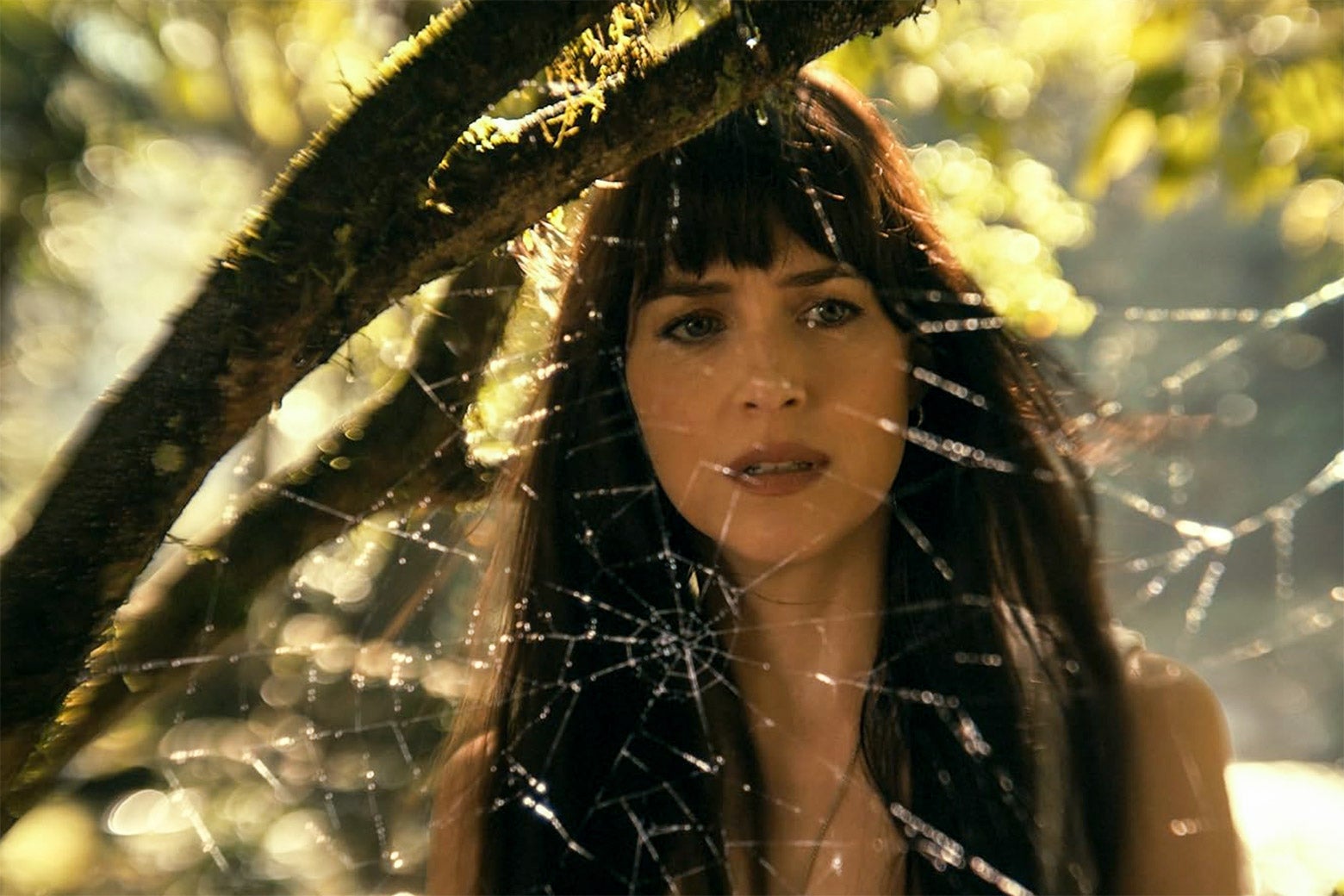 Dakota Johnson stares at a spiderweb, looking confused
