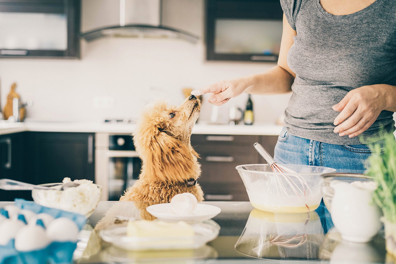 A woman baking in the kitchen with her dog.