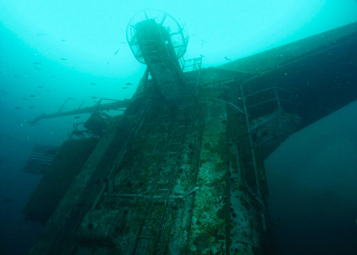 Underwater view of the ex-Oriskany taken 2 years after sinking. Most surfaces have growth of shells and sea urchins.