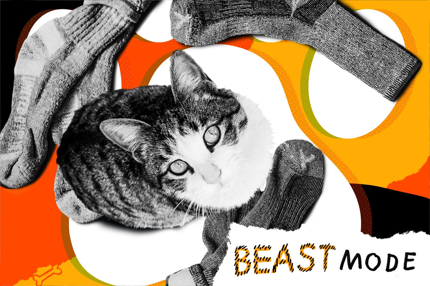 My cat has a laundrypeeing habit.