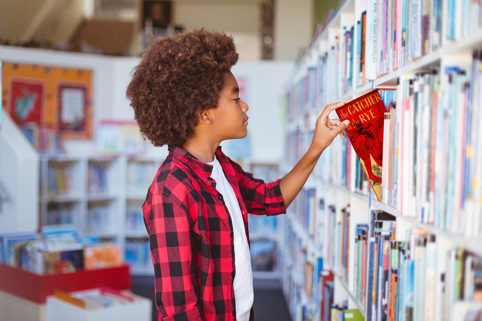 There's a Literacy Crisis. One Classroom Solution Should Be Obvious.