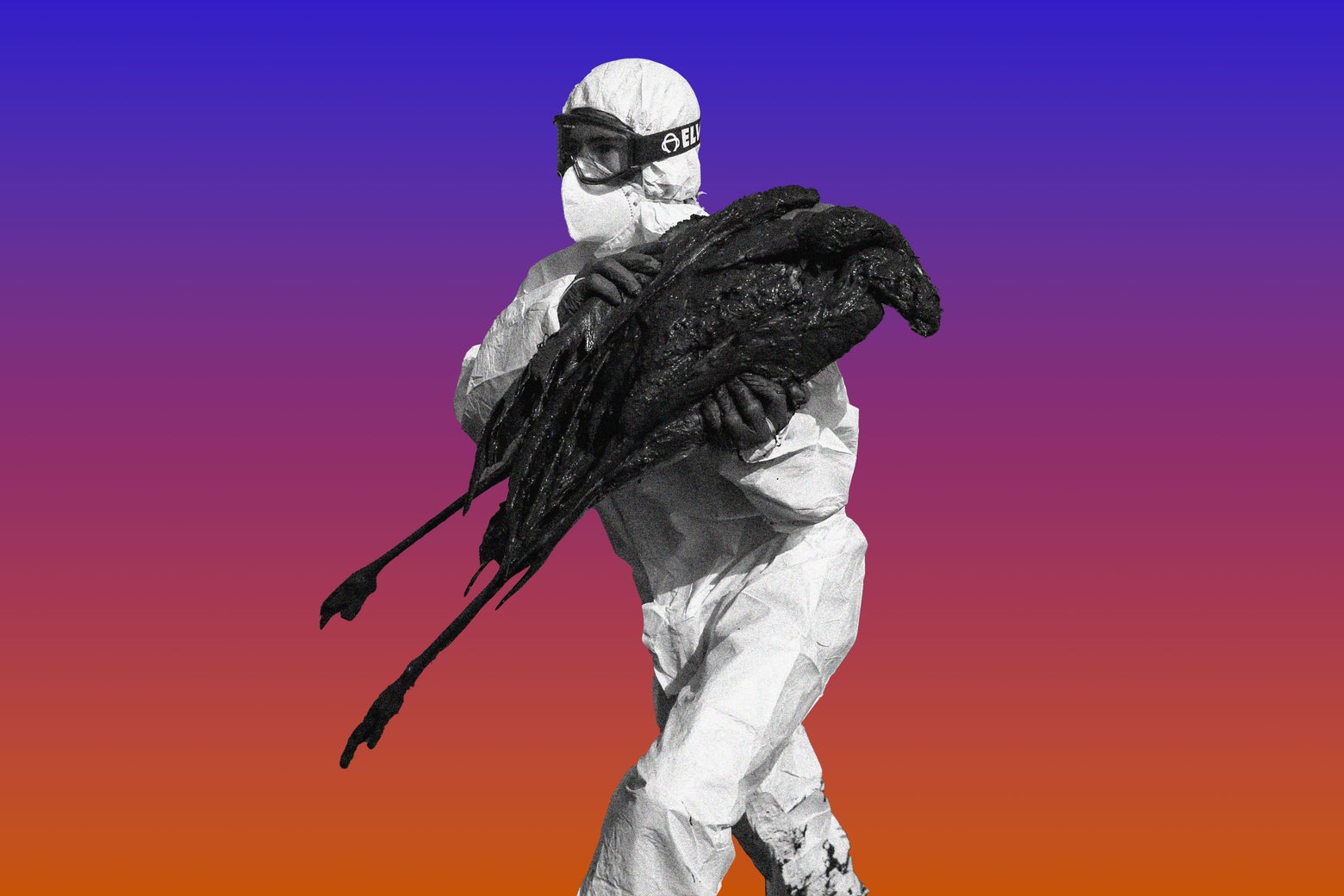 Bird Flu&mdash;It&rsquo;s in Milk?