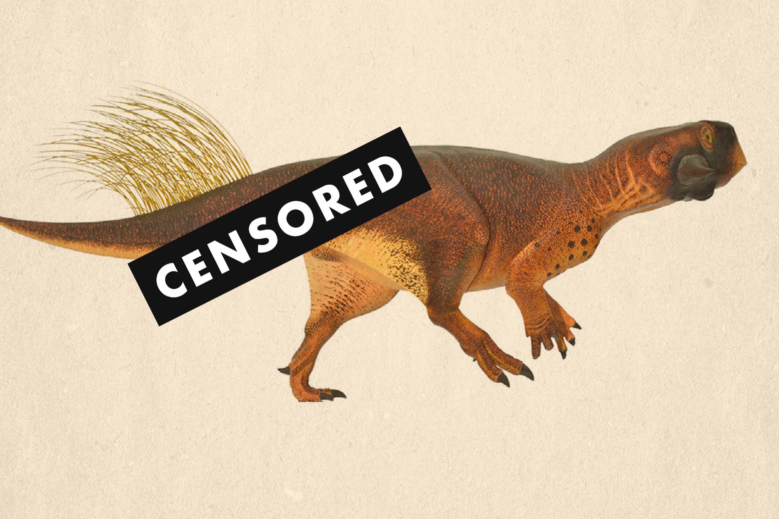 An illustration of Psittacosaurus with its posterior covered by a black box that says CENSORED
