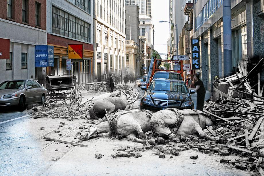 A woman opens the door to her Mercedes on Sacramento Street while horses killed by falling rubble lie in the street.