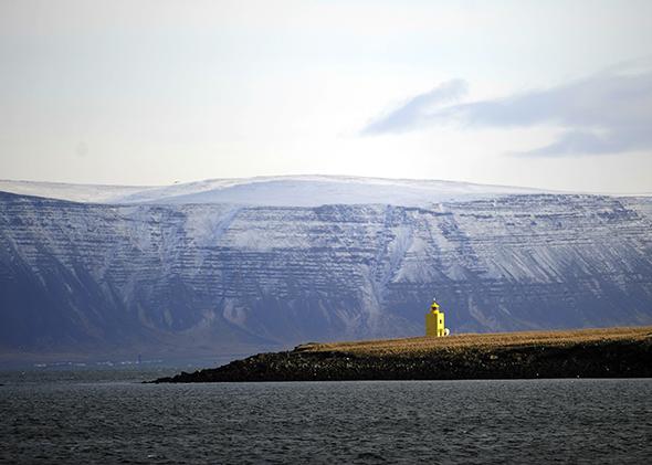 Decode Genetics Wants To Collect DNA From One third Of Icelanders 