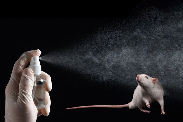 Elon Musk wants to cut down on wasteful science. But that science has a ...