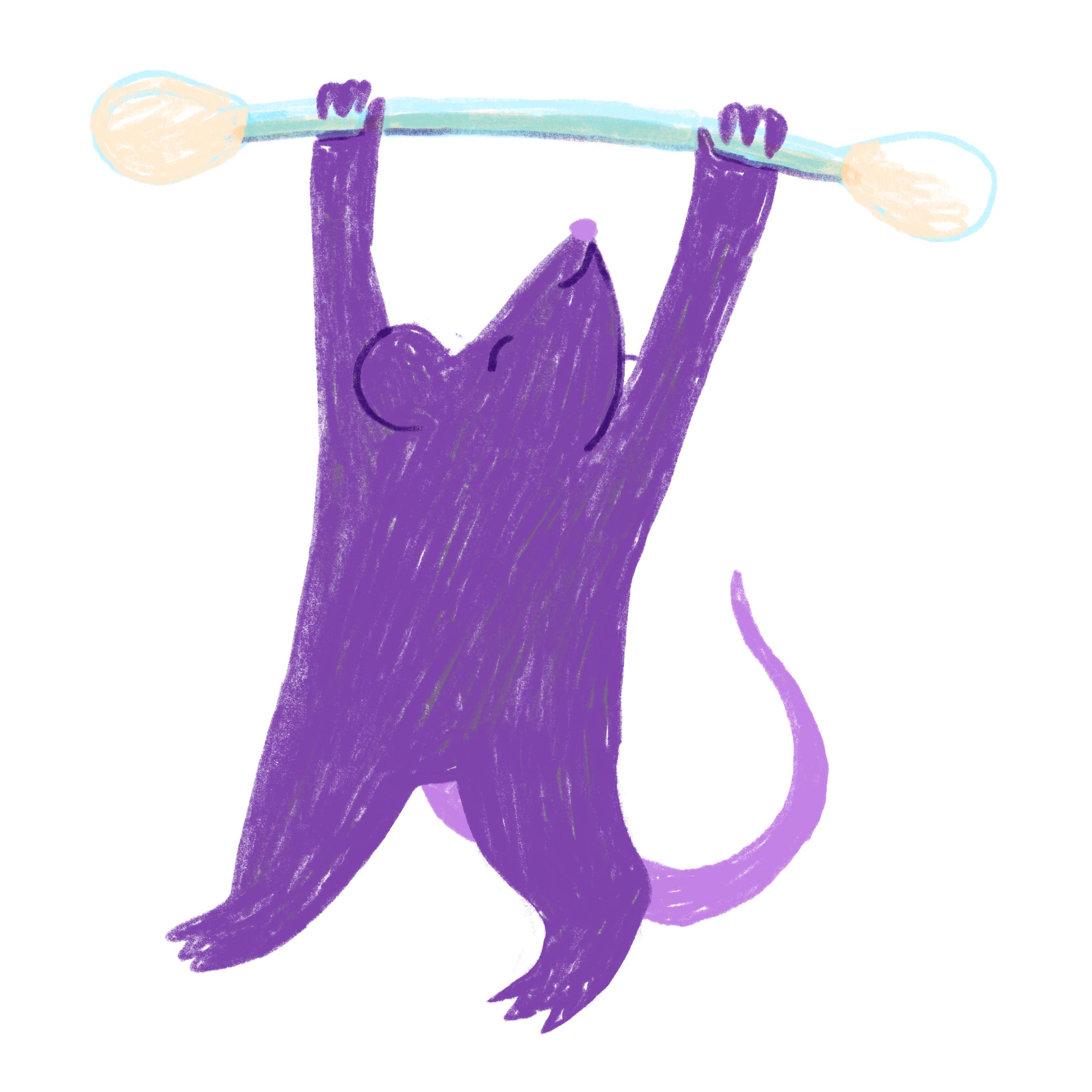A purple rat hoists a Q-tip above its head.