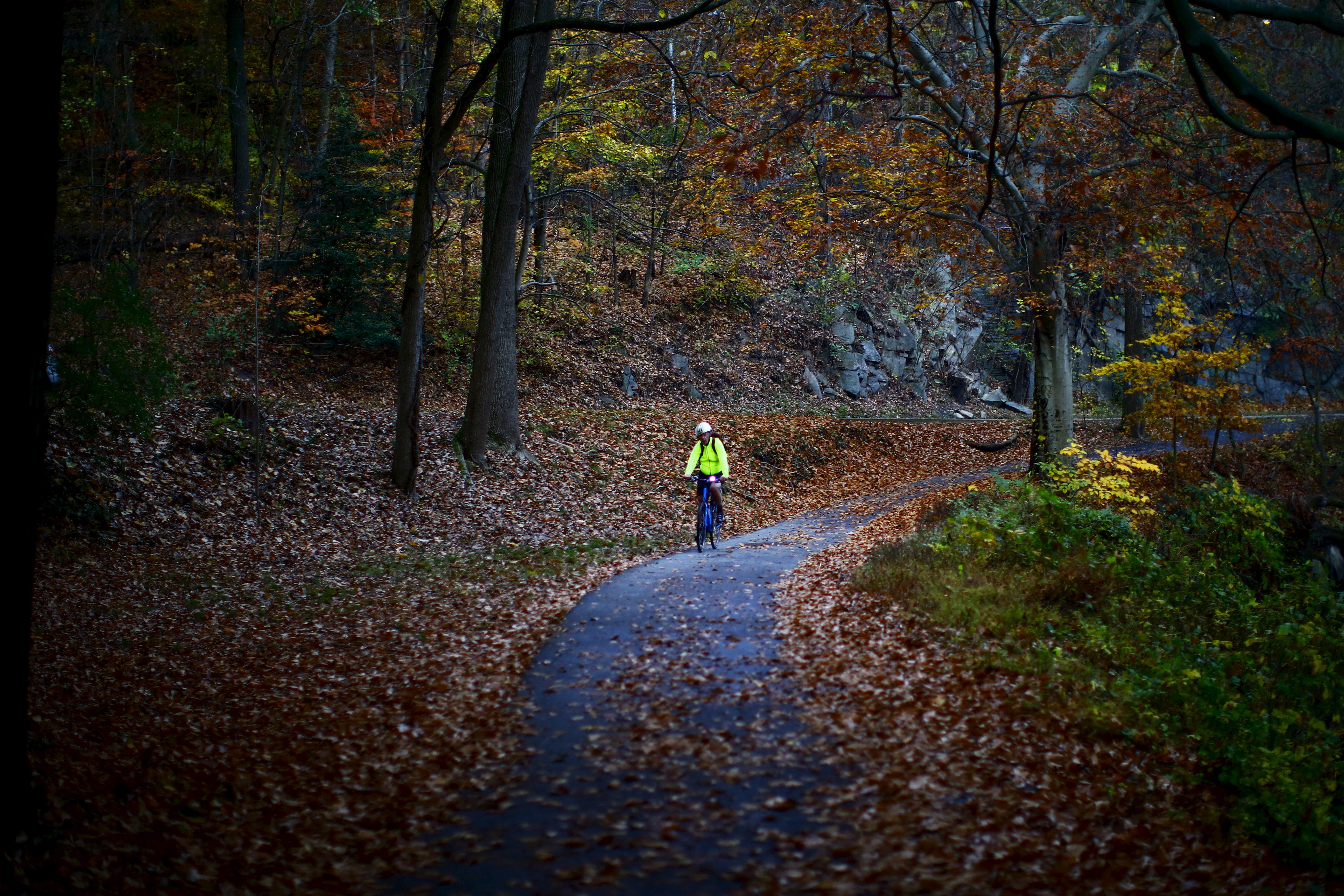 A cyclist in a yellow jacket in Rock Creek Park. No cars in sight!