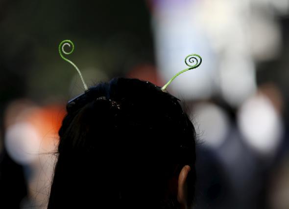 China double sprout hairpin