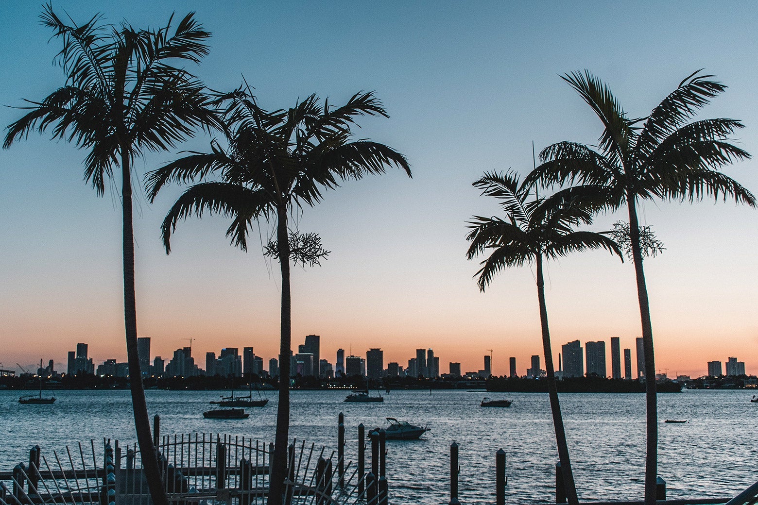 Palm trees and an oceanfront skyline at sunset