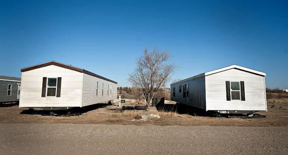 A tree grows between two new single wide mobile homes in Williston, North Dakota, in February.