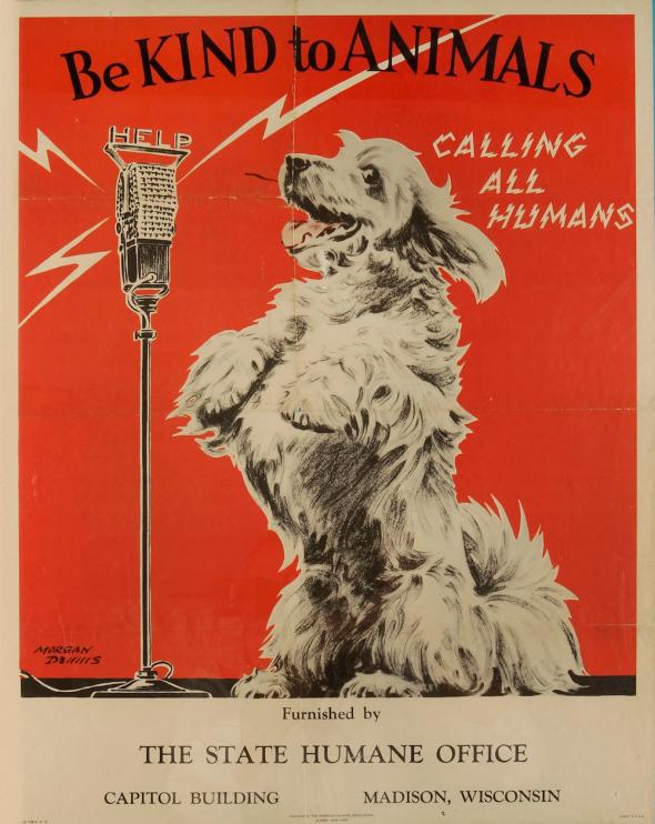 Morgan Dennis posters promoting kindness to animals. Morgan Dennis posters promoting kindness to animals.