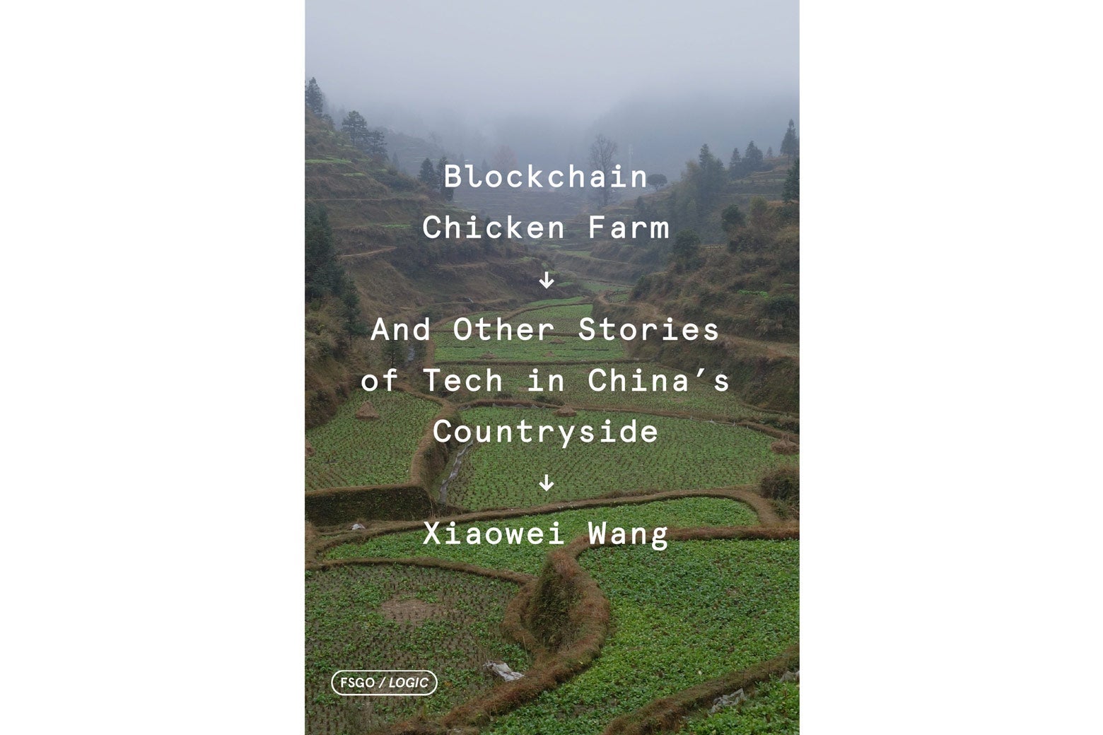 Blockchain Chicken Farm book jacket