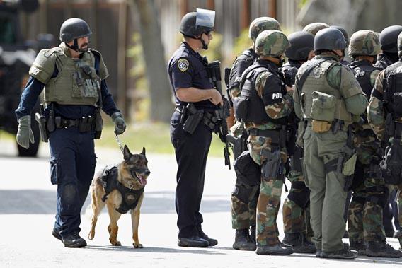 Police officers and a police dog prepare to search a suburban street during a manhunt in Sunnyvale, California, October 5, 2011.