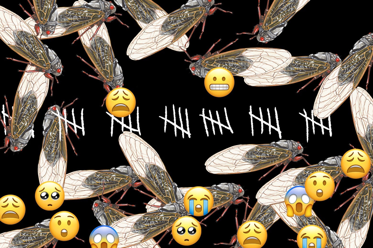 A collage of cicadas, grimacing and crying emojis, and hash marks counting days.