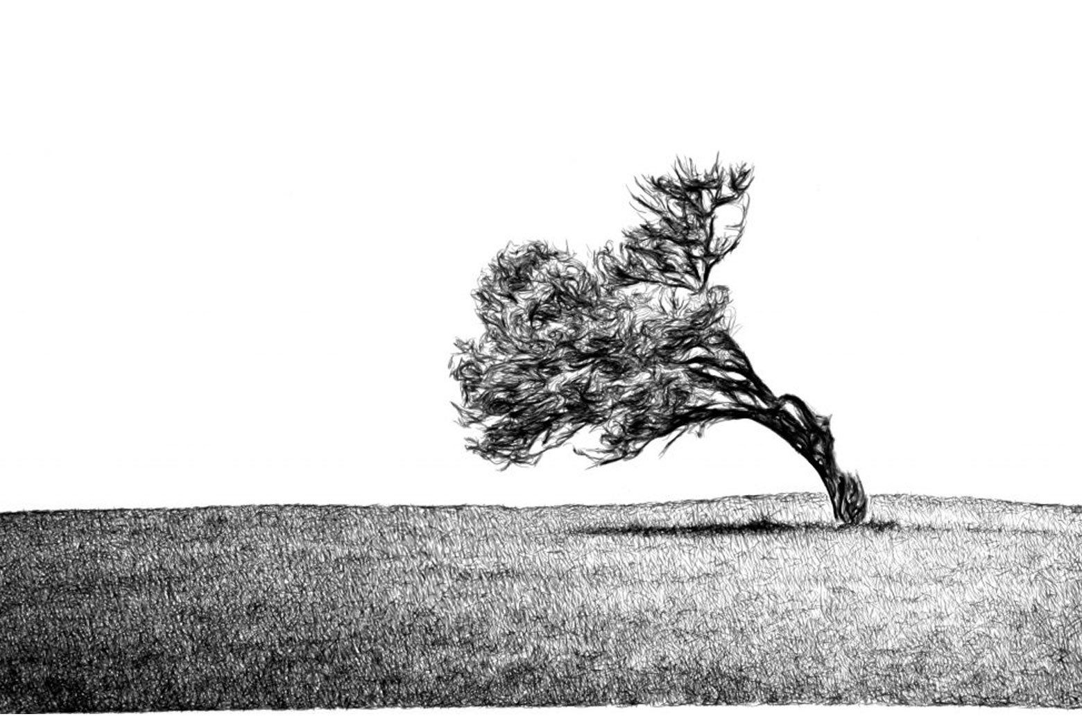 A tree blowing in the wind (India ink on paper (2012)).