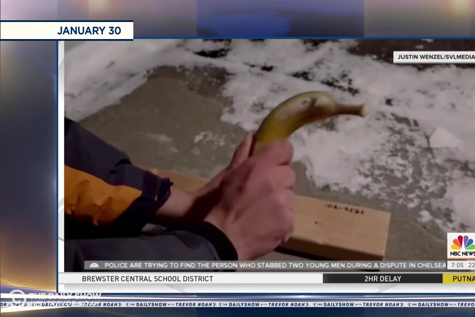 A banana being used as a hammer.