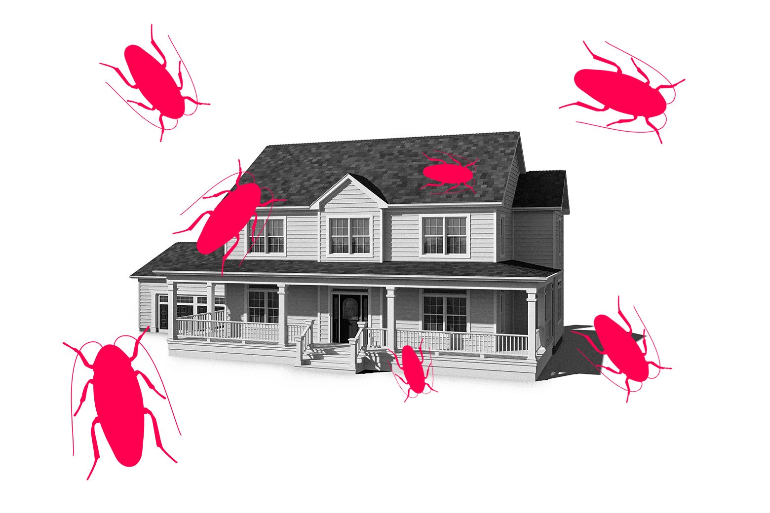 My Parents&rsquo; House Is Infested With Roaches. My Husband Had Something to Do With It.