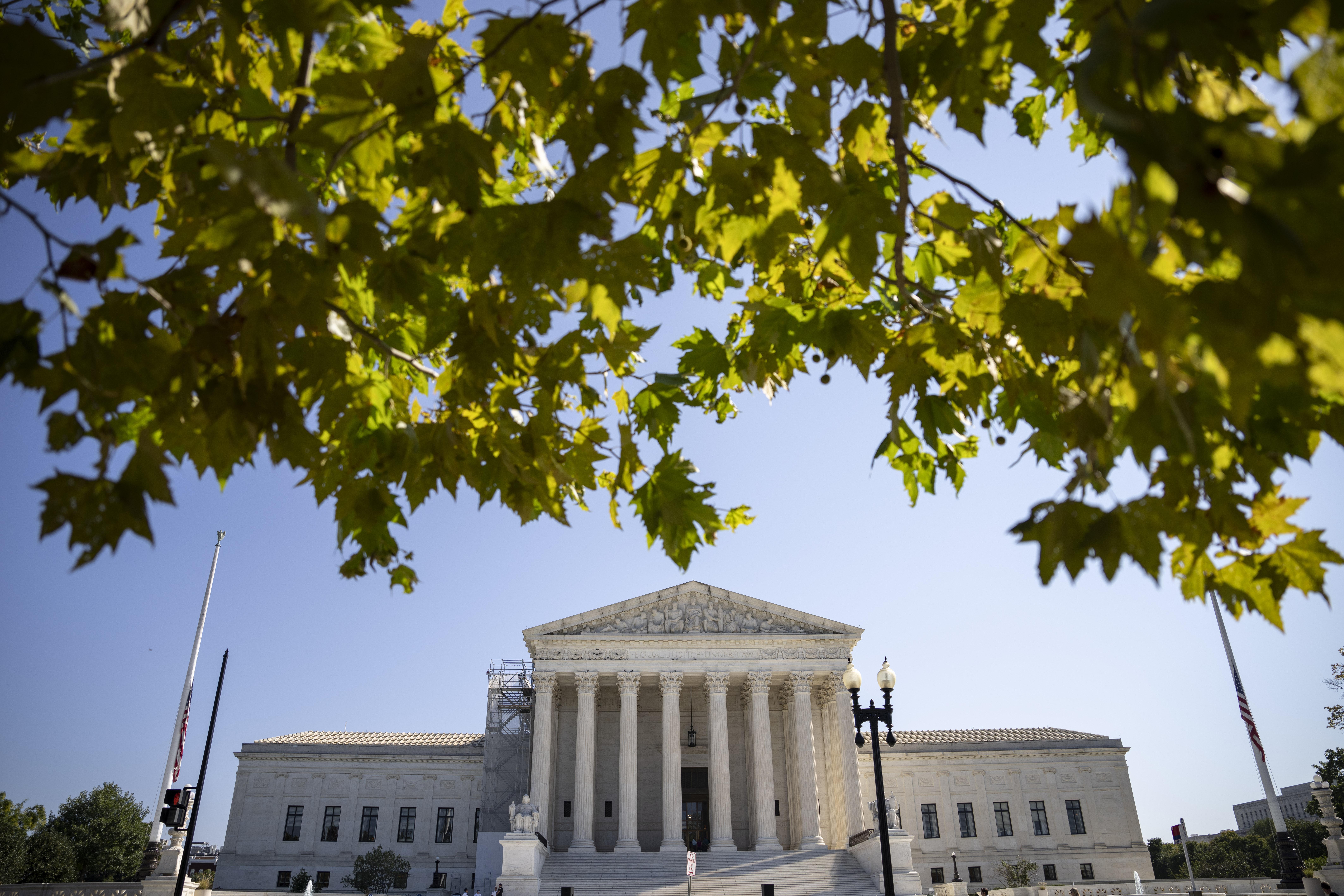  A view of the U.S. Supreme Court—the Court is in the background, with tree branches in the foreground.