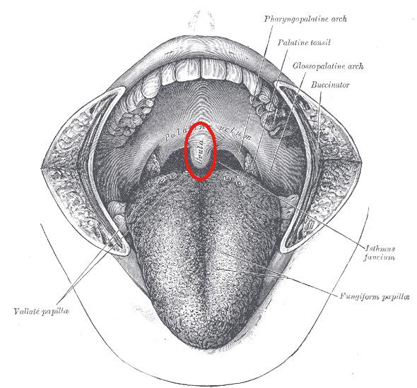 what-do-you-think-treatment-for-sore-throat-nursing-tips