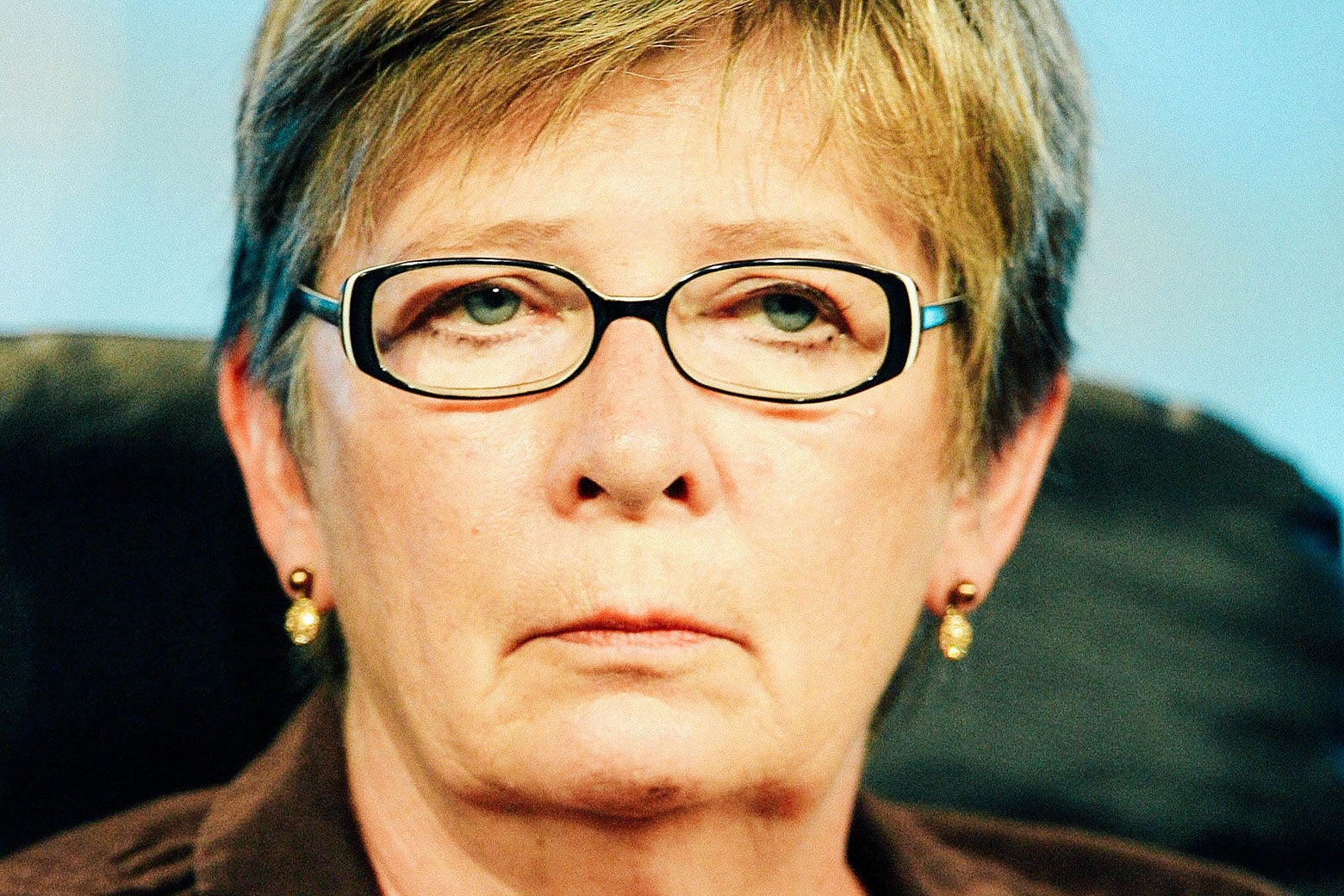 Ehrenreich television essay image