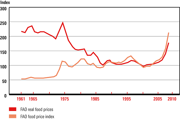 The Cause Of Riots And The Price of Food
