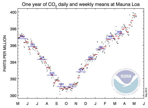 CO2 levels for the past year