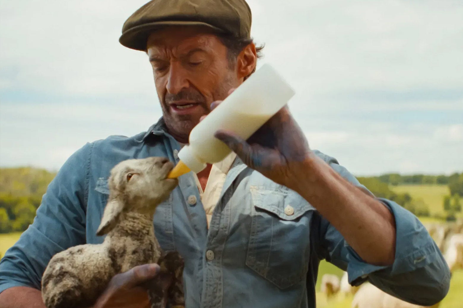 The Sheep Detectives Is the Movie Ewe Have Been Waiting For