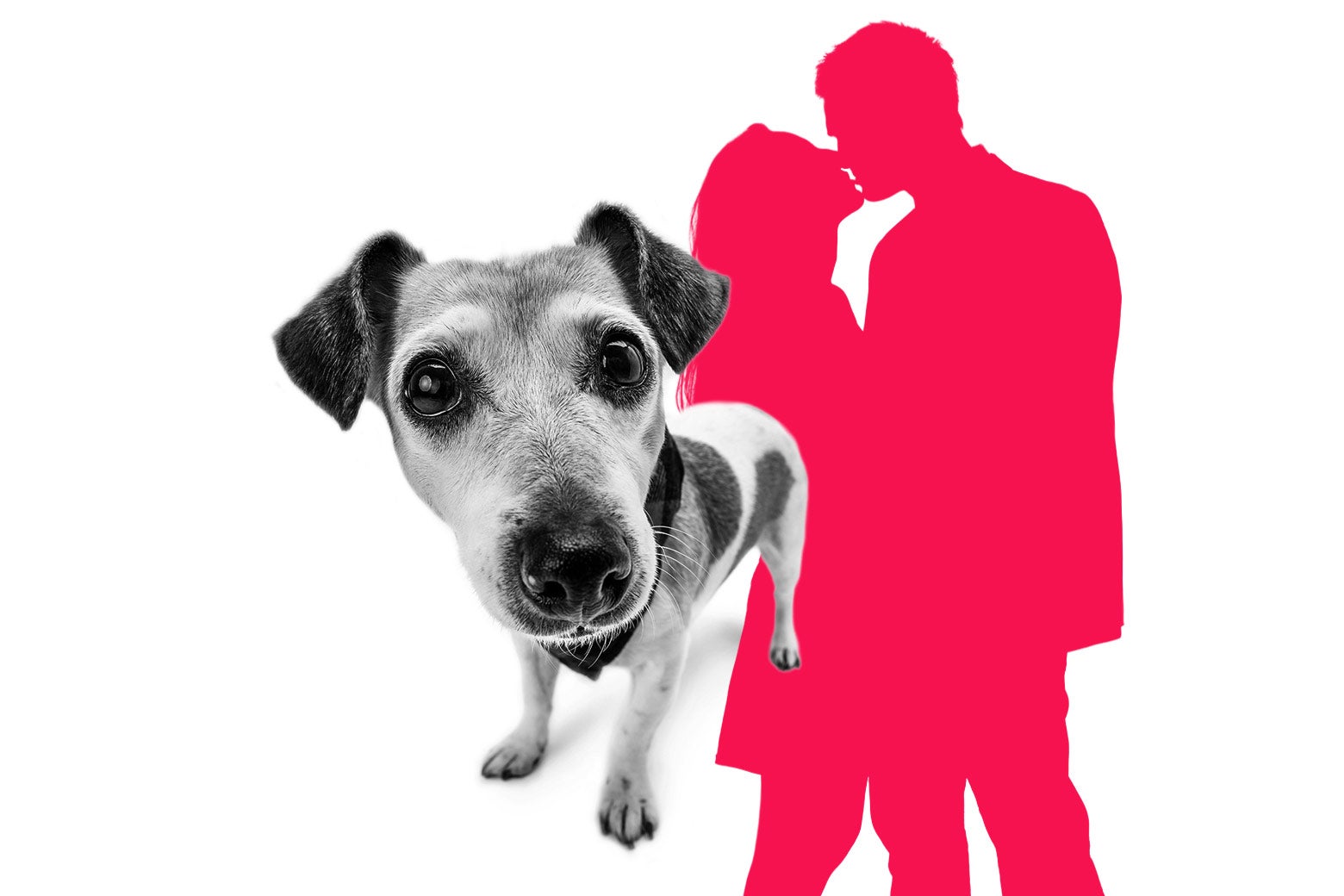 My porch camera caught my brother with his mistress. But he's hiding a darker secret.