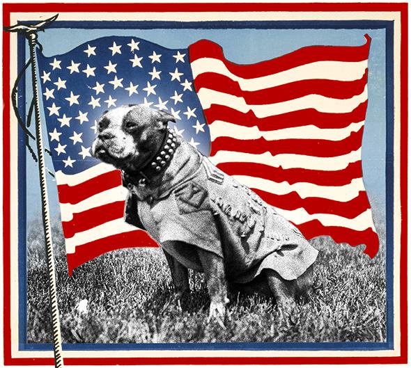 Dogs of war: Sergeant Stubby, the U.S. Army's original and still most highly decorated canine soldier.