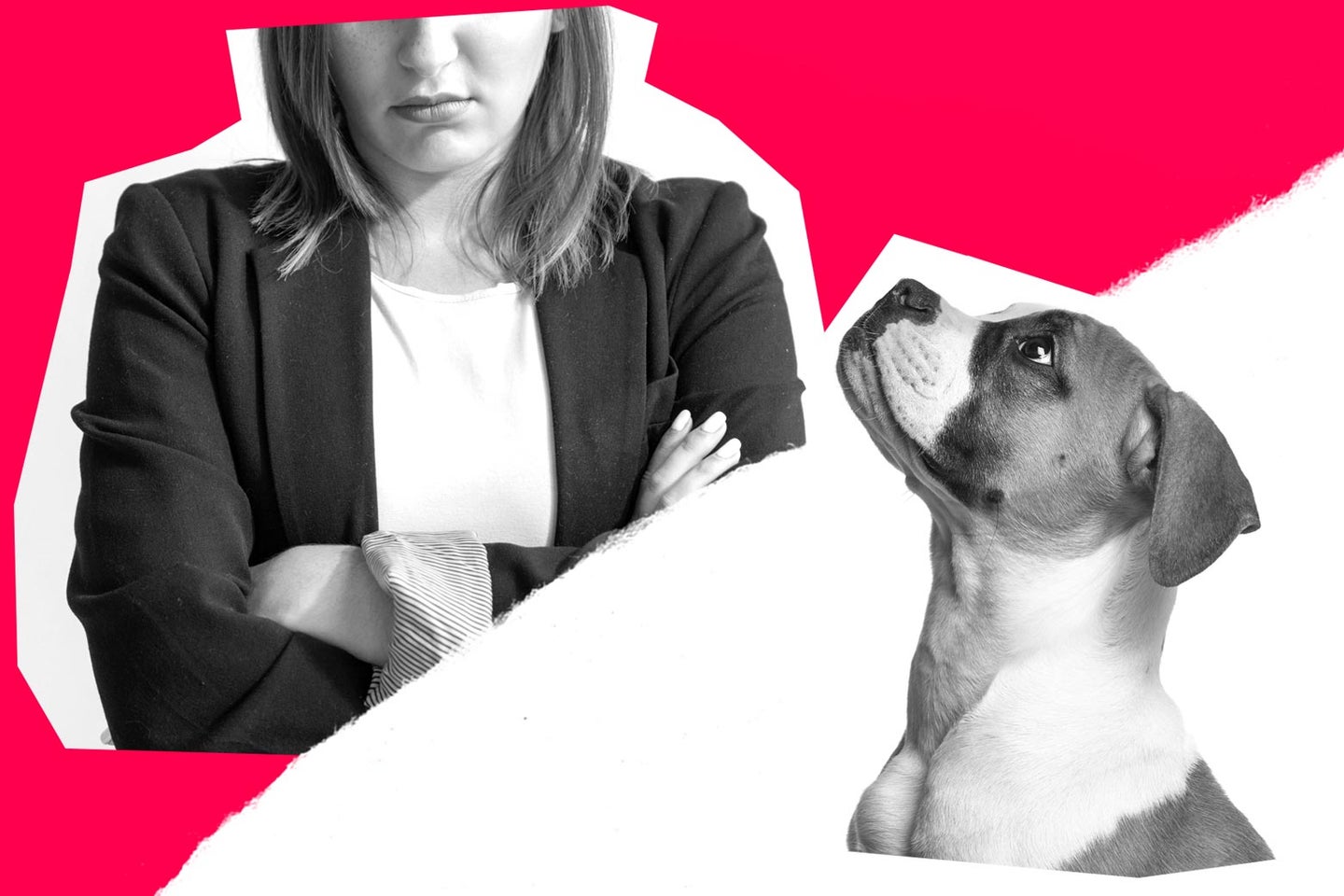 Dear Prudence: My fiancé’s dog is ruining our relationship.
