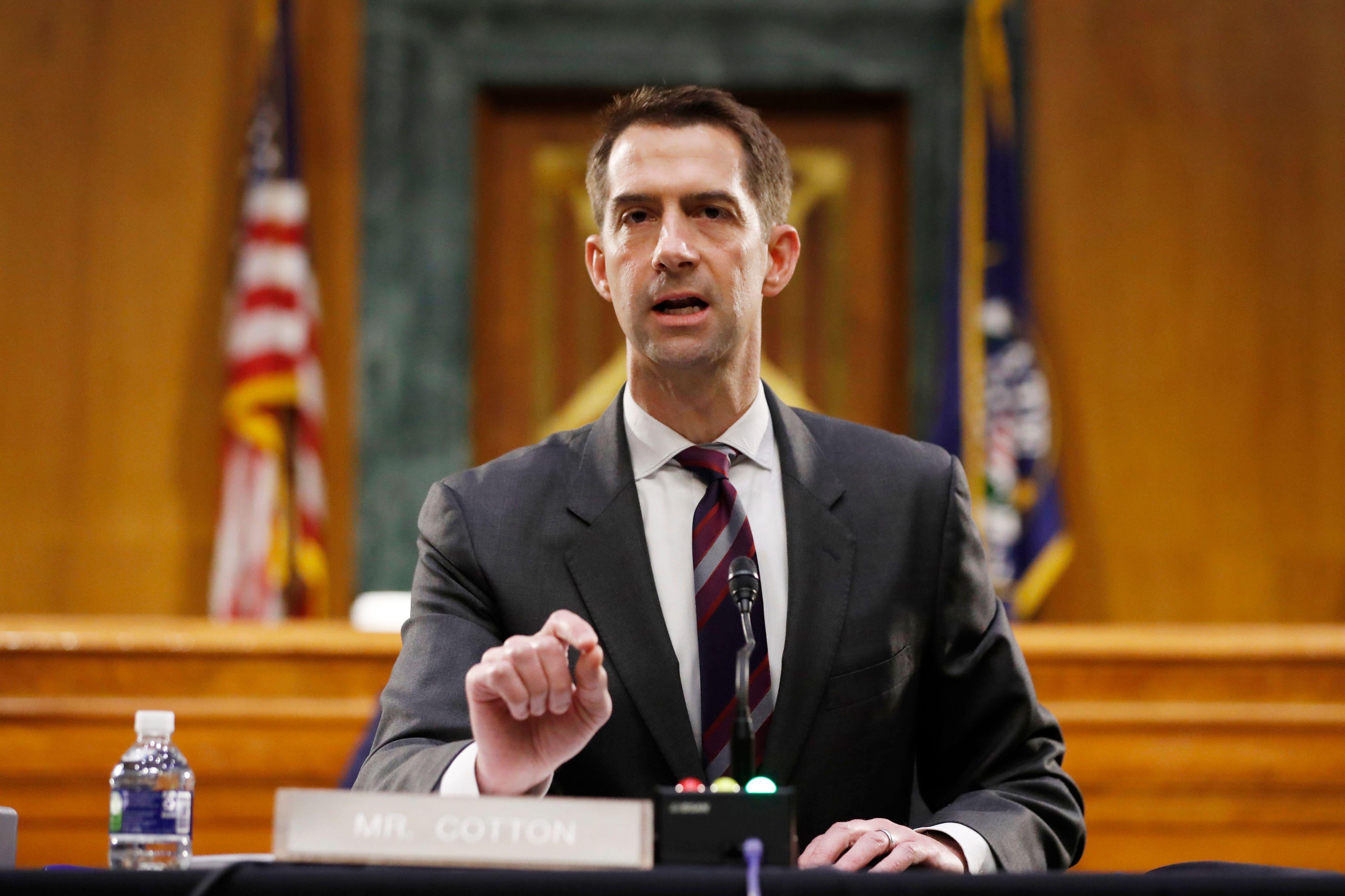 Tom Cotton speaks during a Senate Intelligence Committee hearing