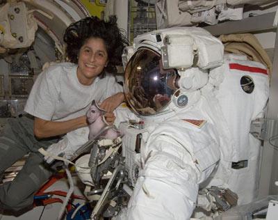 Space Station tour: Commander Sunita Williams shows you her orbiting home.