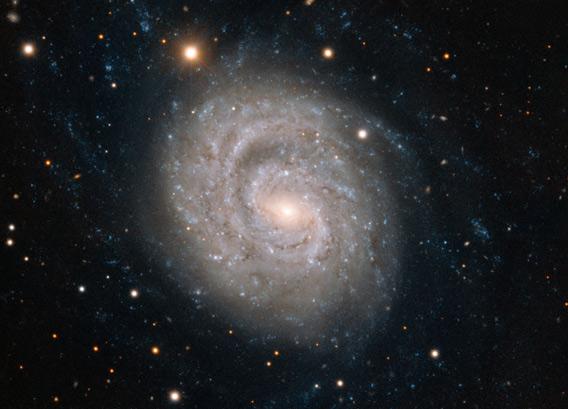 Spiral galaxy NGC 1637