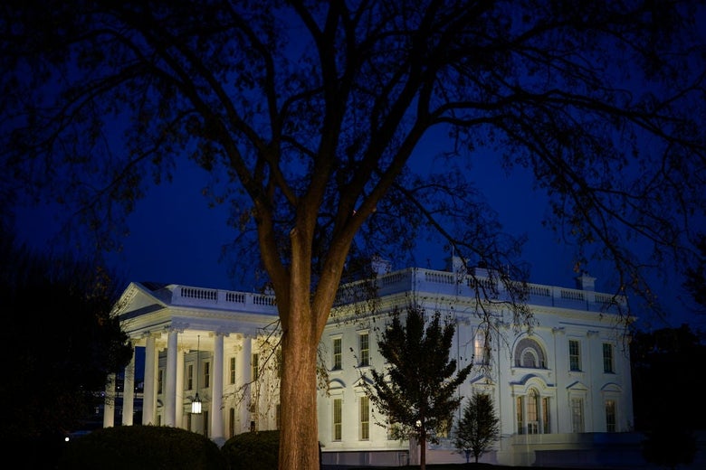 The White House seen illuminated at nightfall from an angle against a dark blue sky with a mostly bare tree in the foreground.