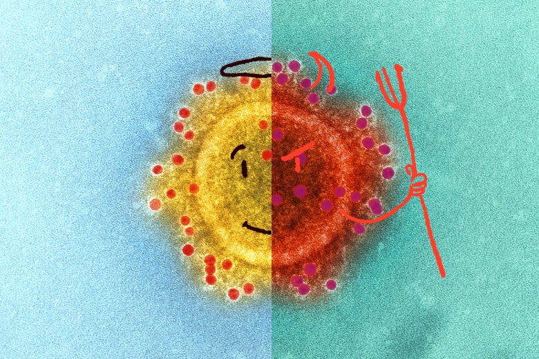A virus that on one side looks angelic and on the other side looks demonic.