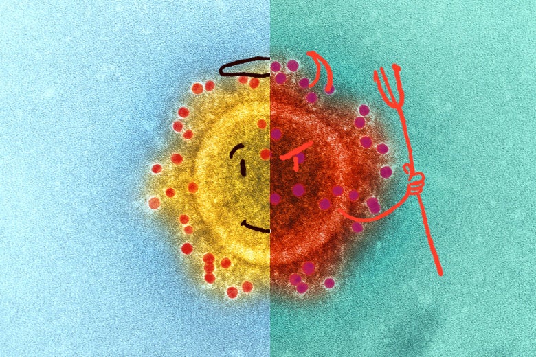 A virus that on one side looks angelic and on the other side looks demonic.