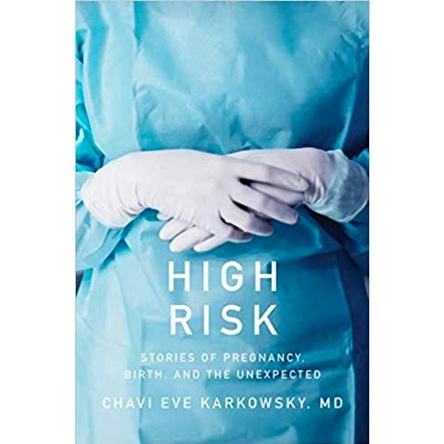 High Risk book cover.