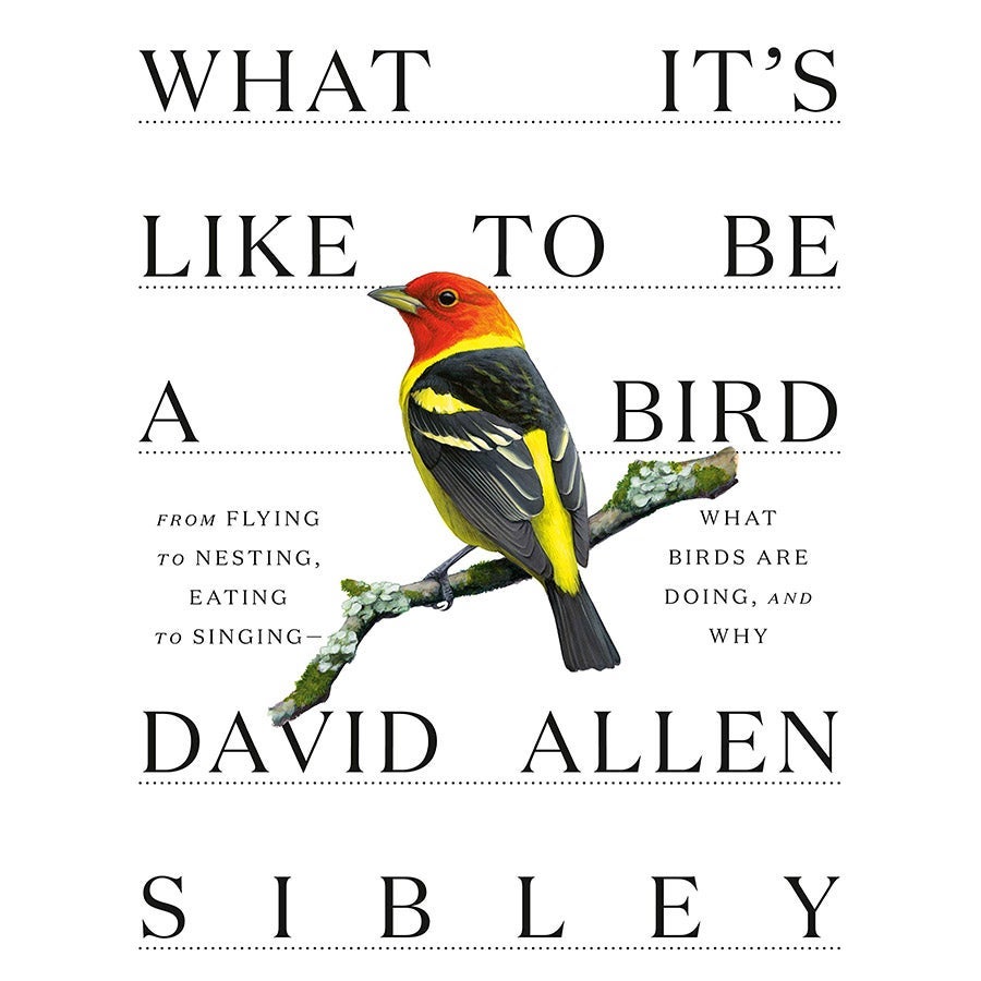 Cover of What It’s Live to Be a Bird.