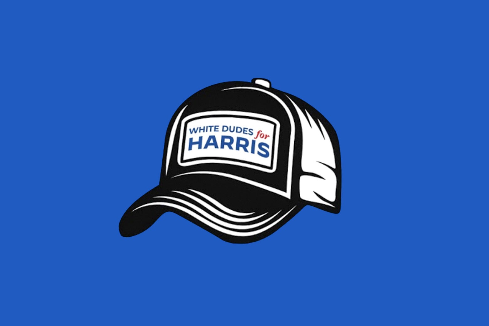 I Was at “White Dudes for Harris.” I Was Surprised How It Made Me Feel.